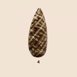 Aragonite