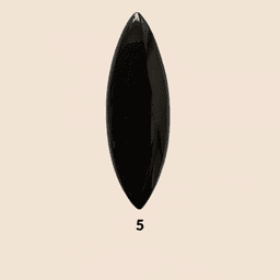 Eliotropio Nero