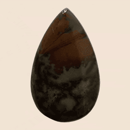 Eliotropio Africano