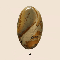 Diaspro Farfalla (Butterfly Jasper)