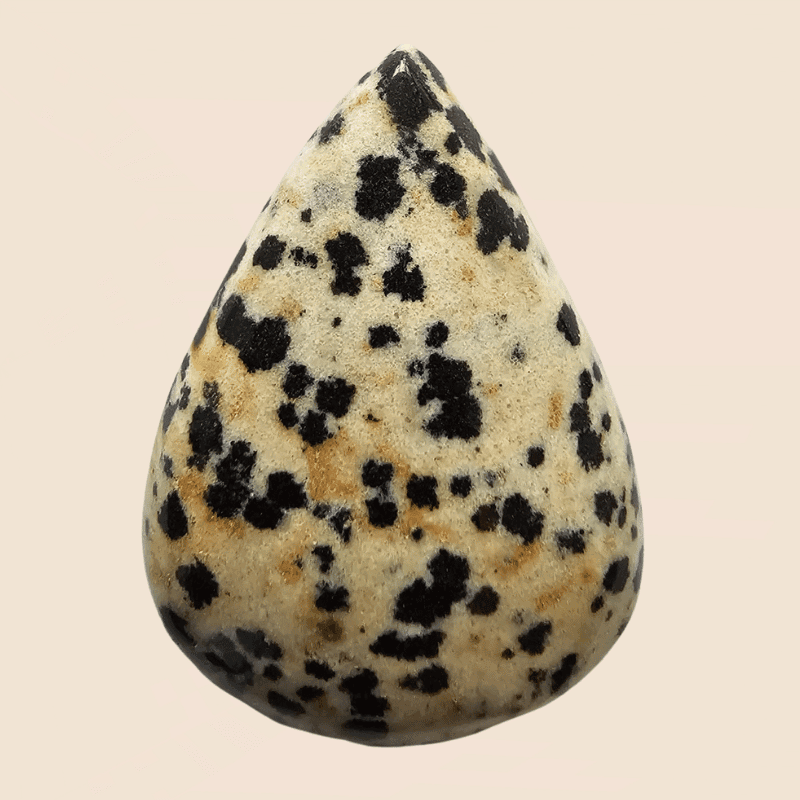 Diaspro Dalmata