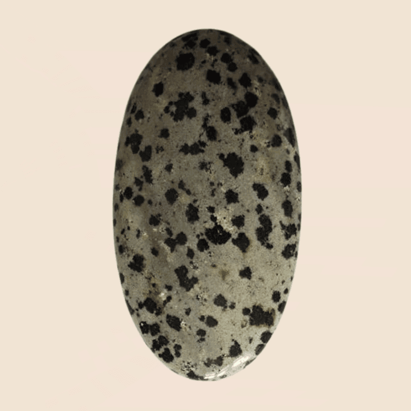 Diaspro Dalmata Nero