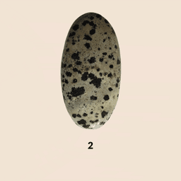 Diaspro Dalmata Nero