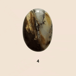 Agata Dendritica Miele - tipo 1