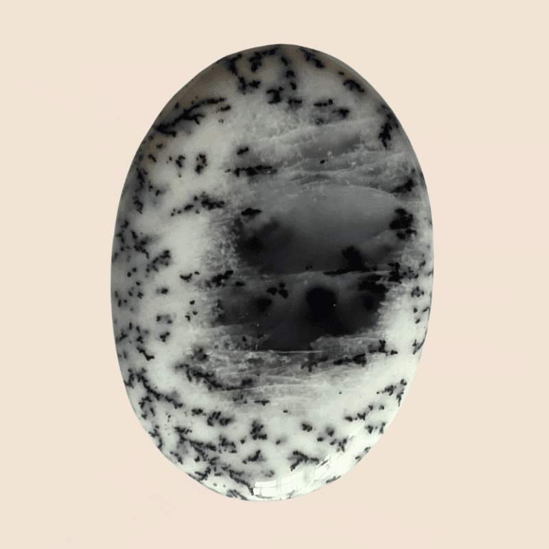 Agata Dendritica
