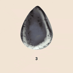 Agata Dendritica
