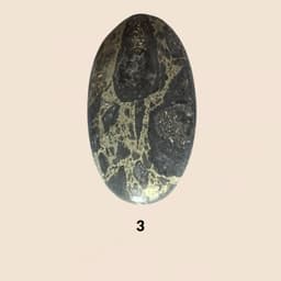 Diaspro Graylite